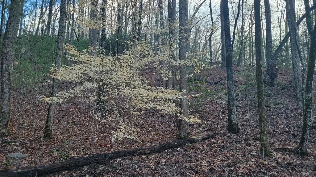 Picture 2