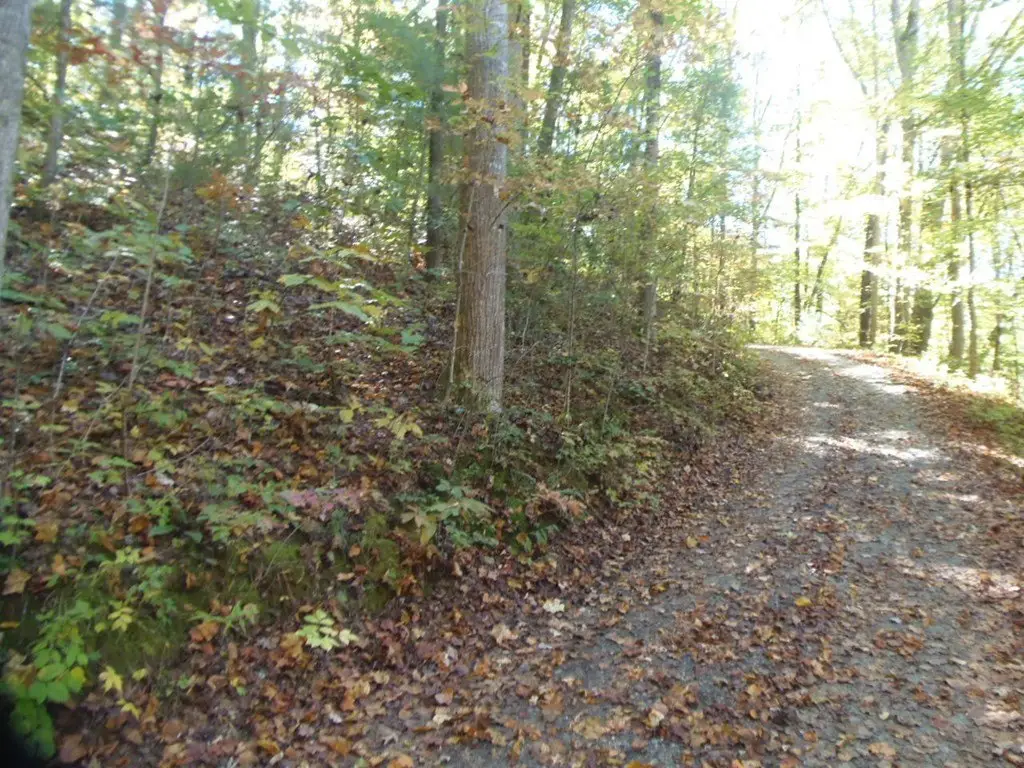 Picture 7