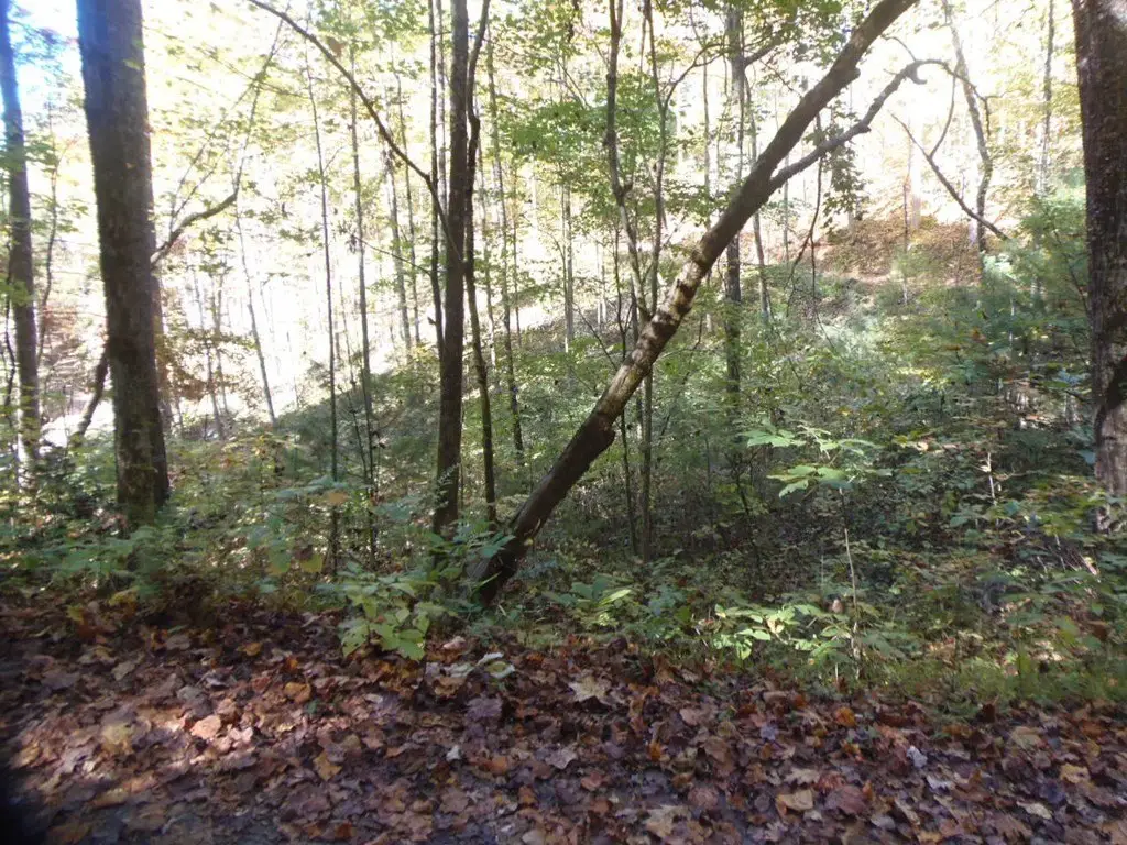 Picture 6