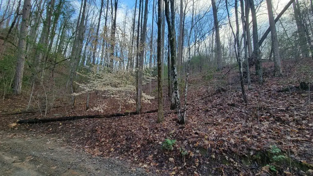 Picture 4