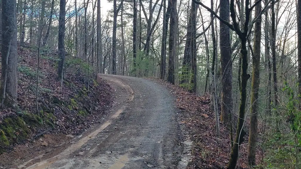 Picture 3