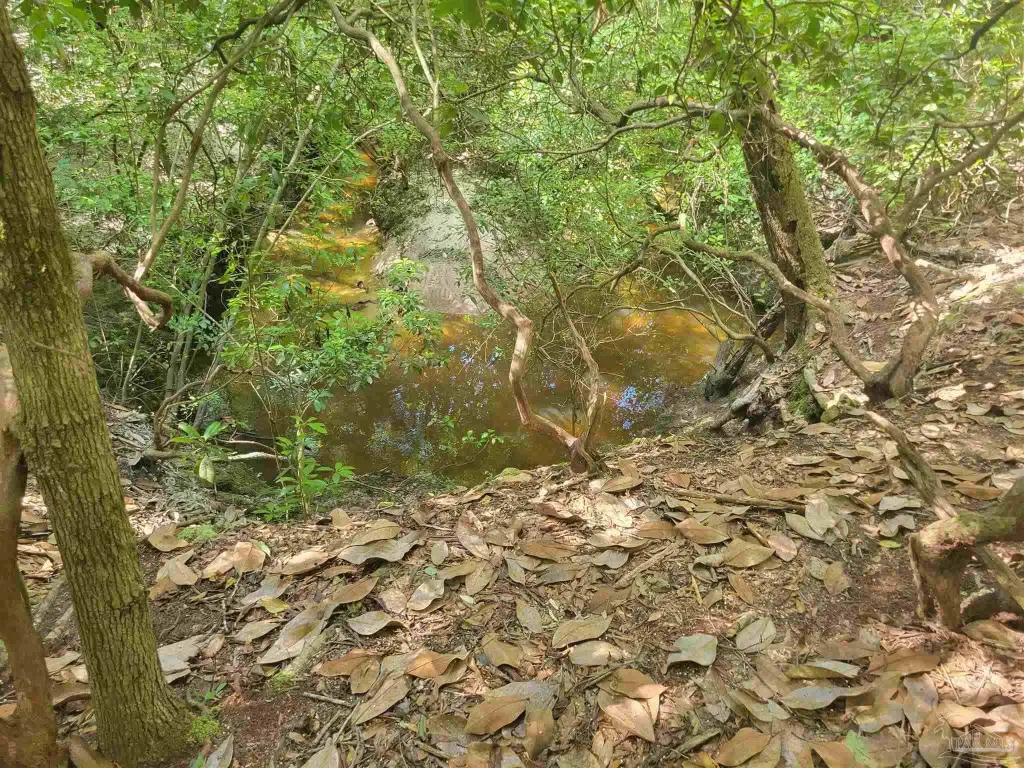 Picture 2