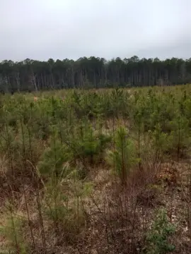 Gloucester Land For Sale