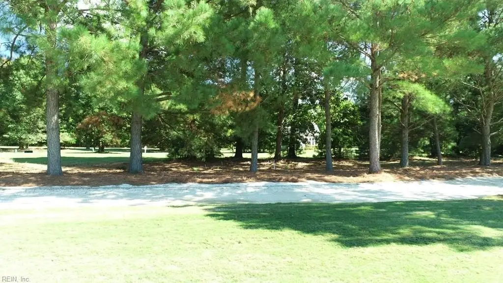 Picture 12