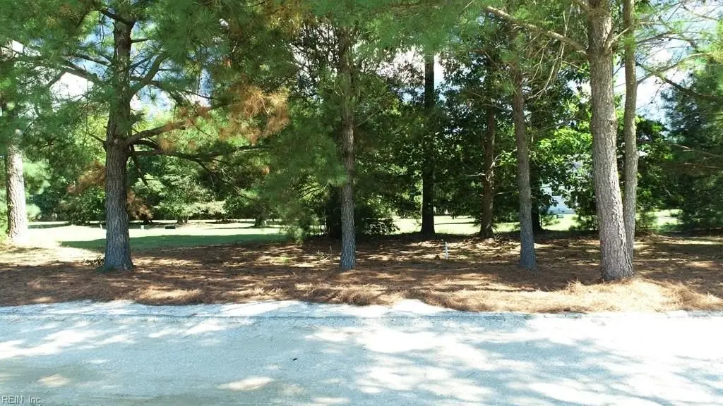 Picture 13