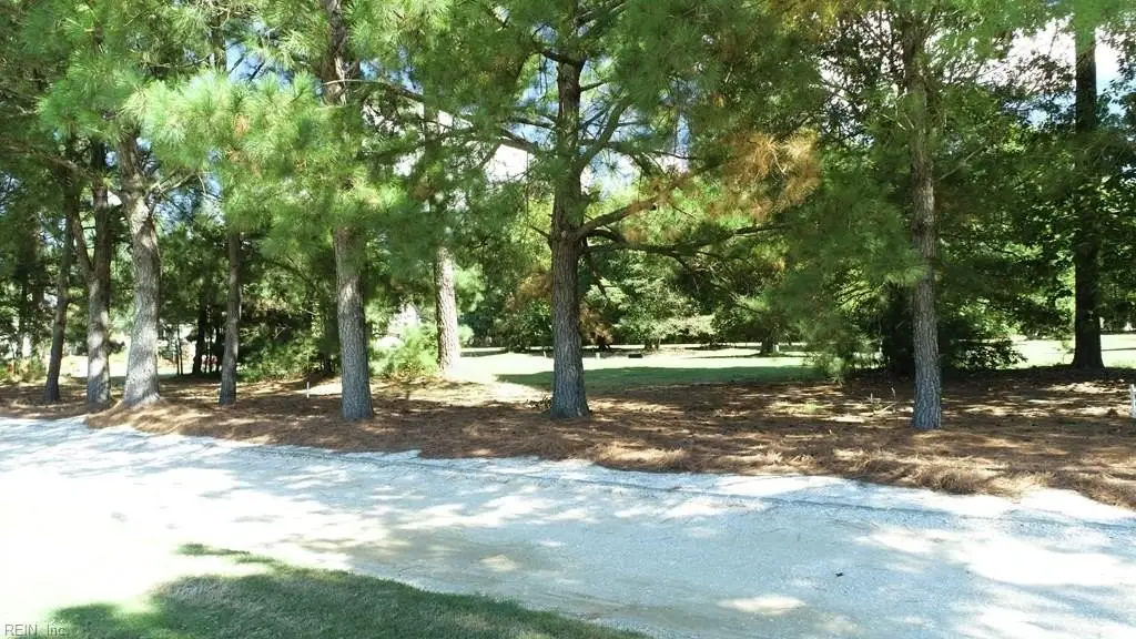 Picture 14
