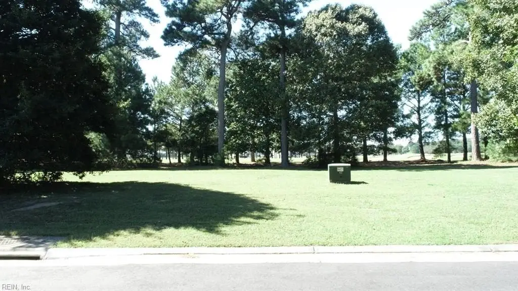 Picture 31