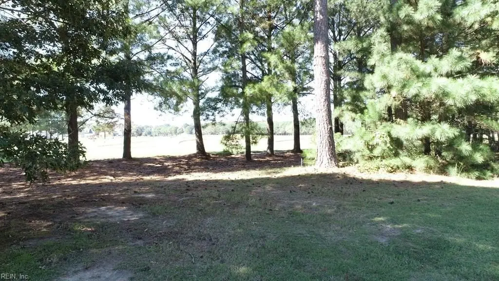 Picture 9