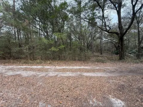Buildable Double Lot in Ocala