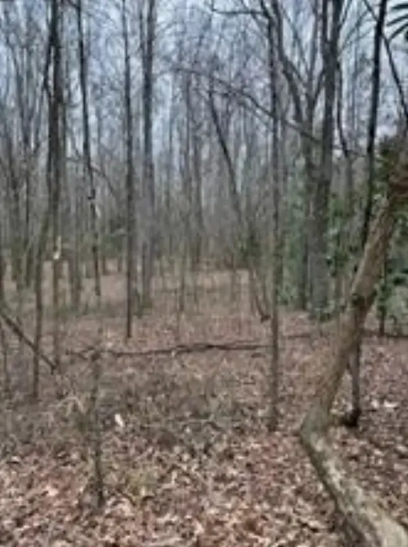 Picture 3