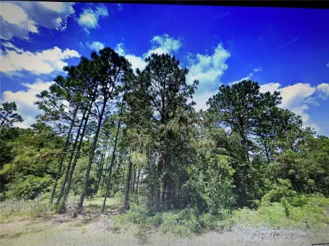 OCALA, FL Building Lot
