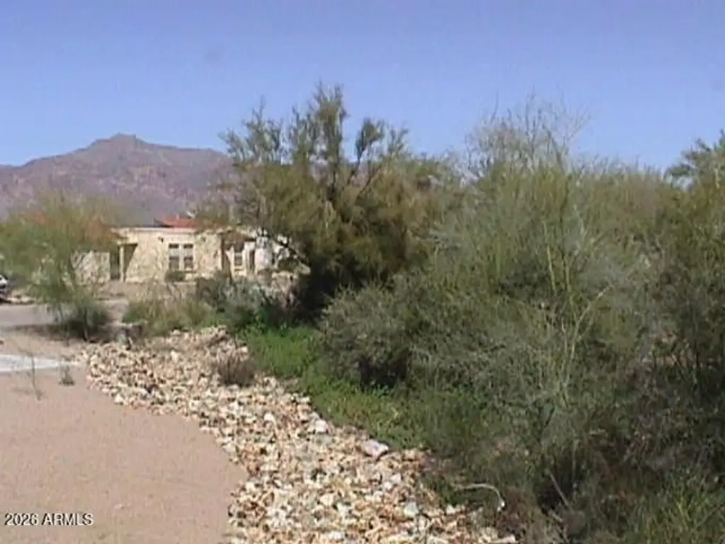 Picture 4