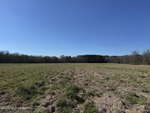 Trophy Hunting & Cattle Property