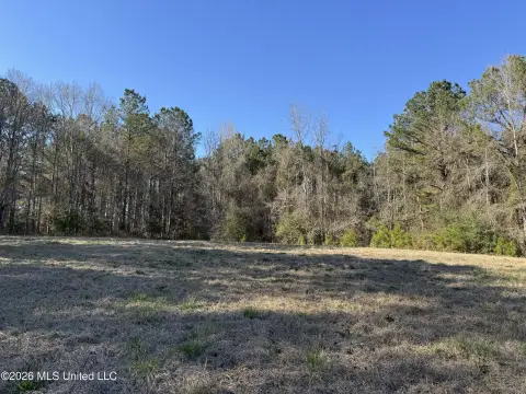 Hunting Land with Spring-Fed Creek