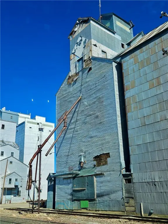 Picture 5