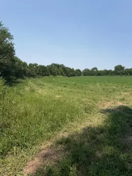 Peralta Land Ready For Development