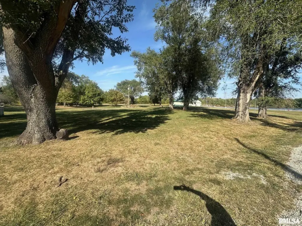 Picture 3