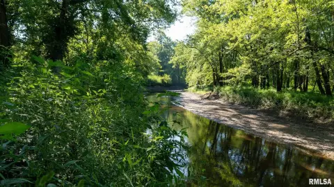 40 Acres Prime River Bottom