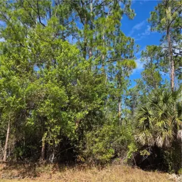 Naples Vacant Lot Opportunity