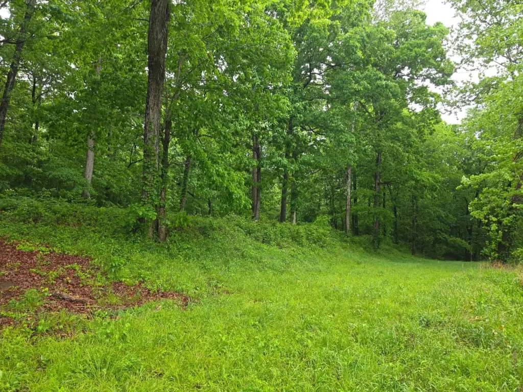 Picture 11