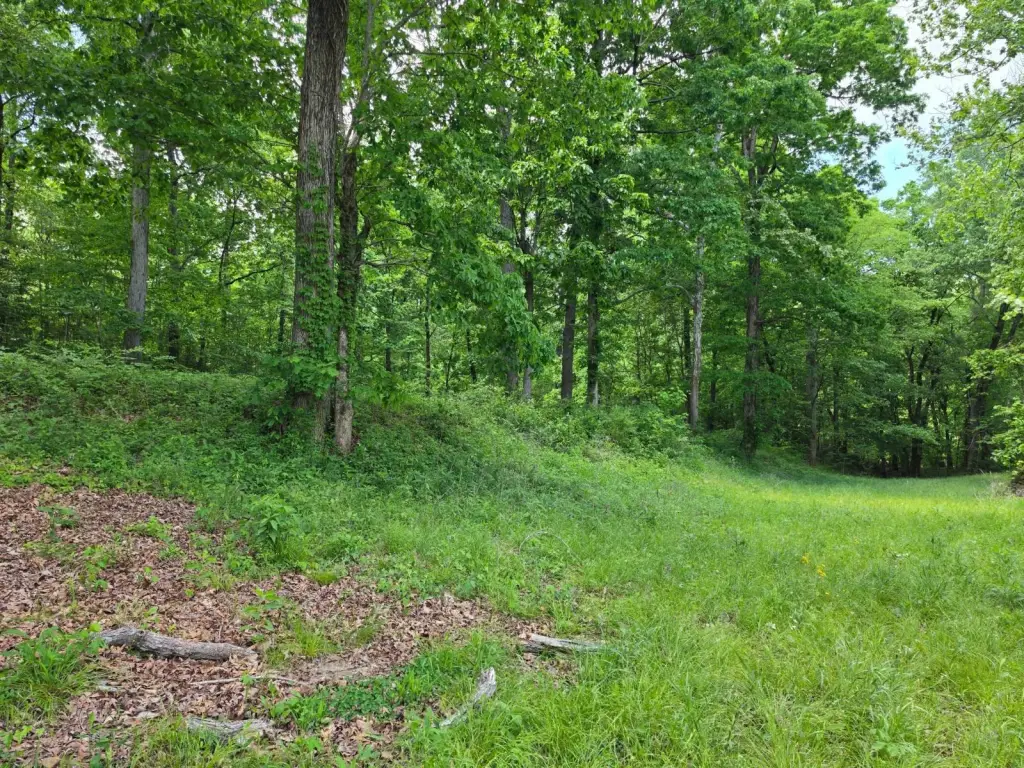 Picture 27