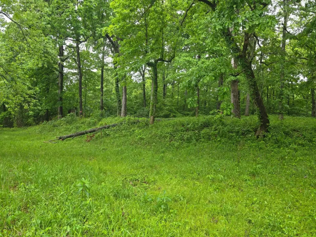 Picture 12