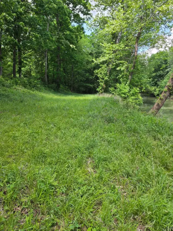 Picture 10