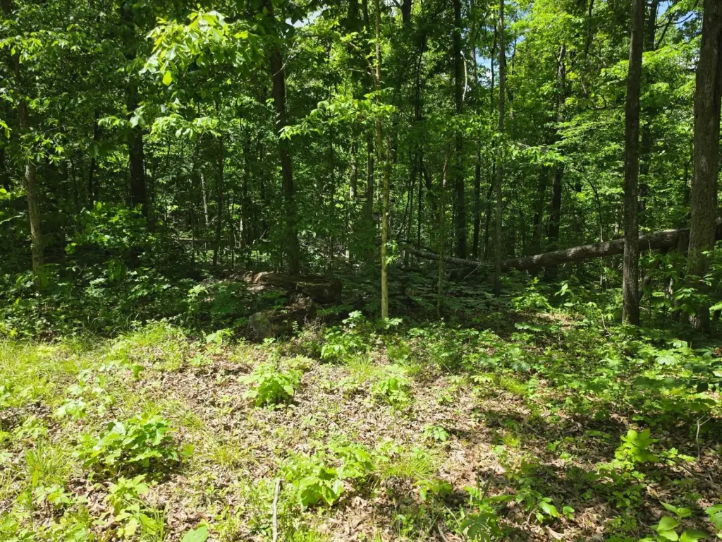 Picture 30