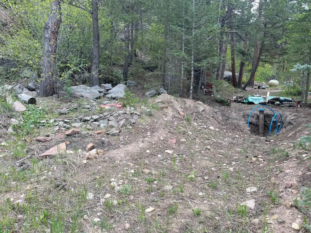 Picture 3