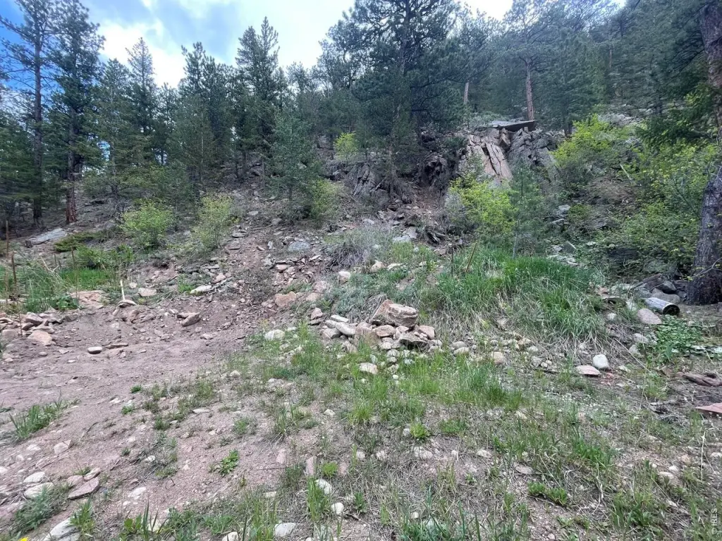Picture 2