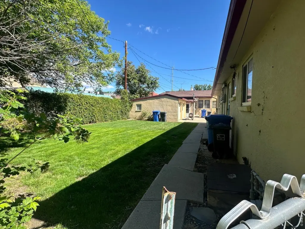 Picture 5