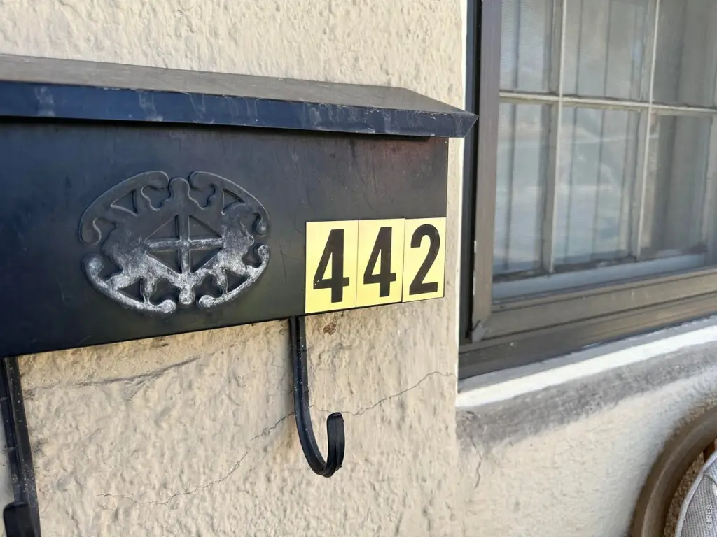 Picture 31