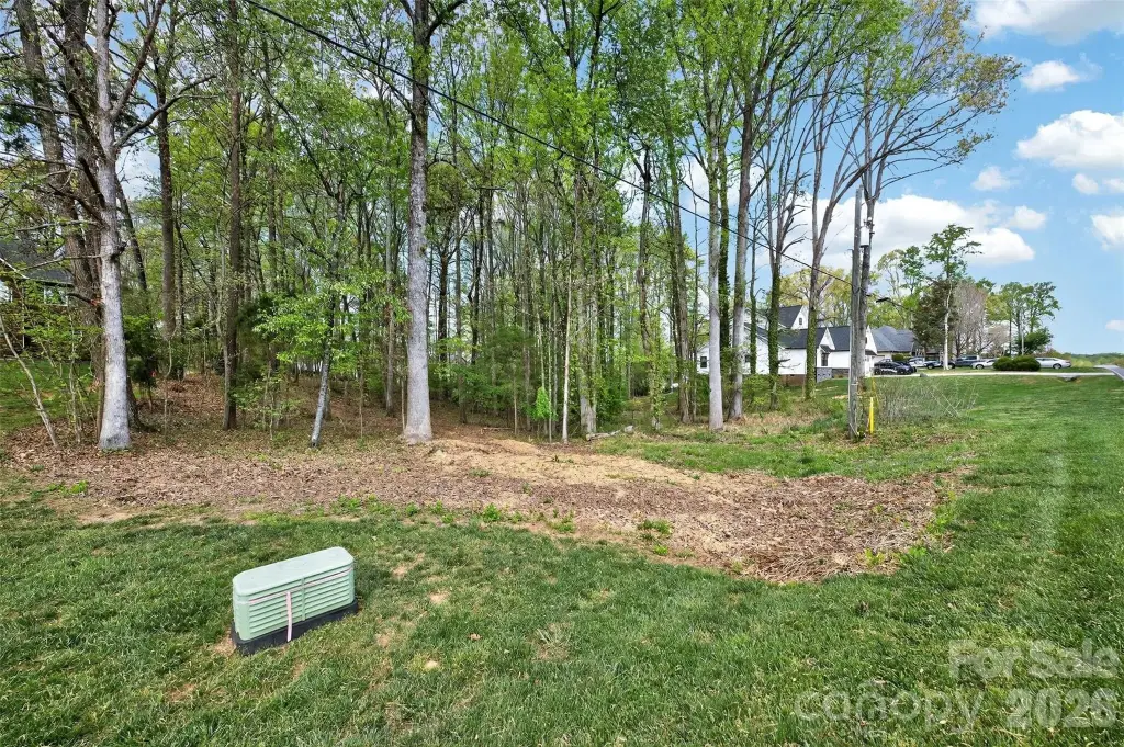 Picture 4