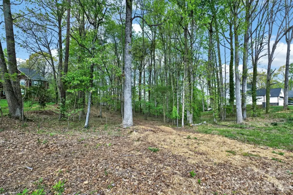Picture 7