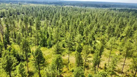 Terry, MS Vacant Land