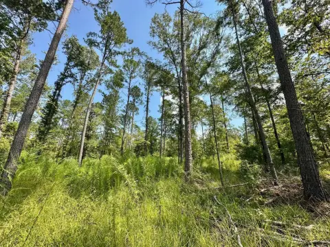 185 Acres of Vacant Land