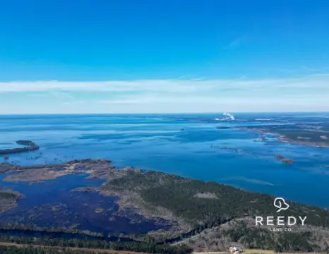 Berkeley County Wooded Homesite