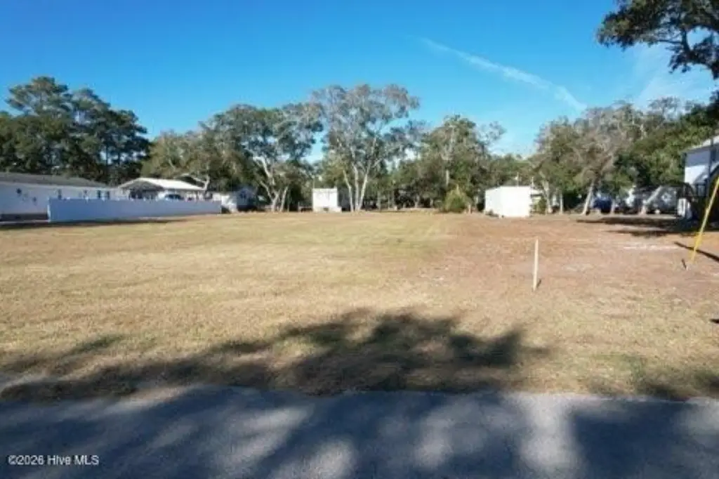 Picture 3