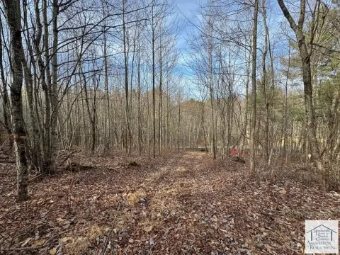 8.15 Acres Wooded Land Retreat