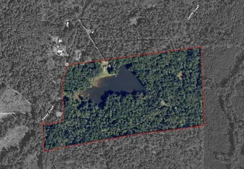 East Texas Wooded Paradise