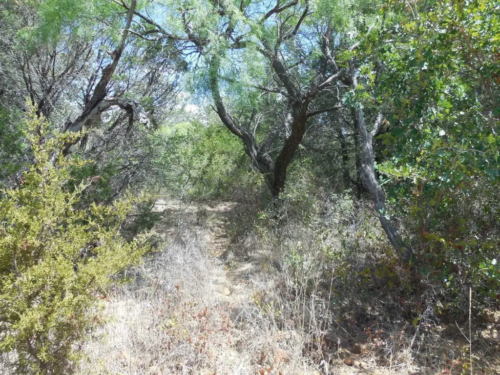 Picture 8