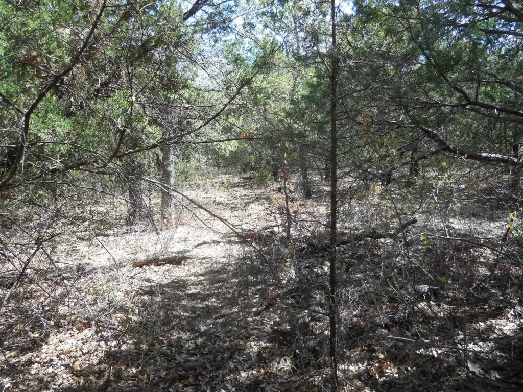 Picture 7