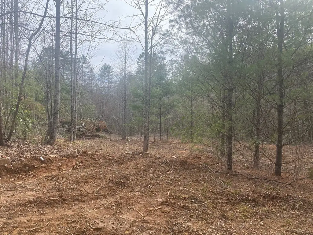 Picture 4