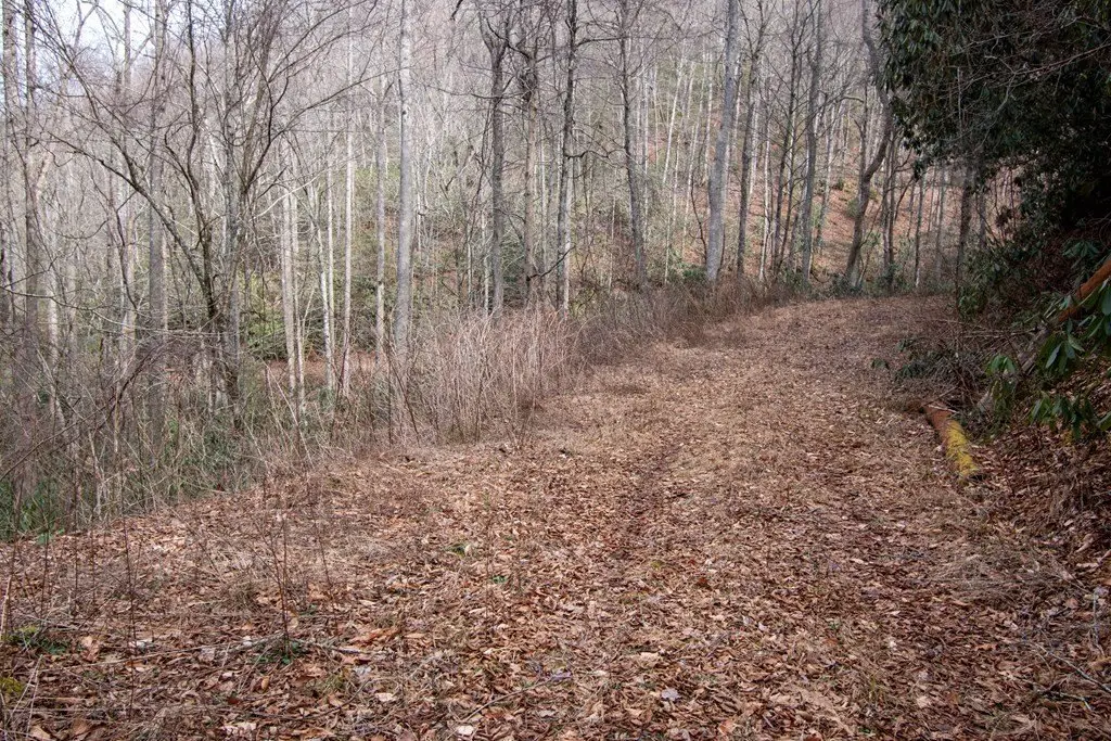 Picture 3