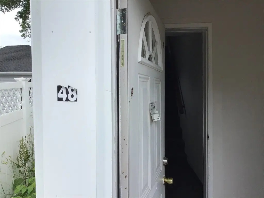 Picture 5