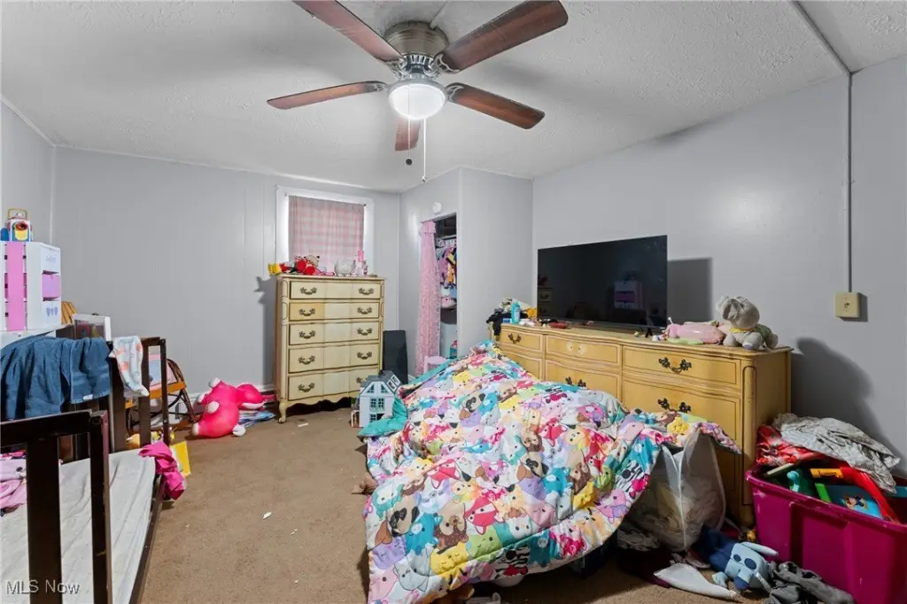 Picture 14