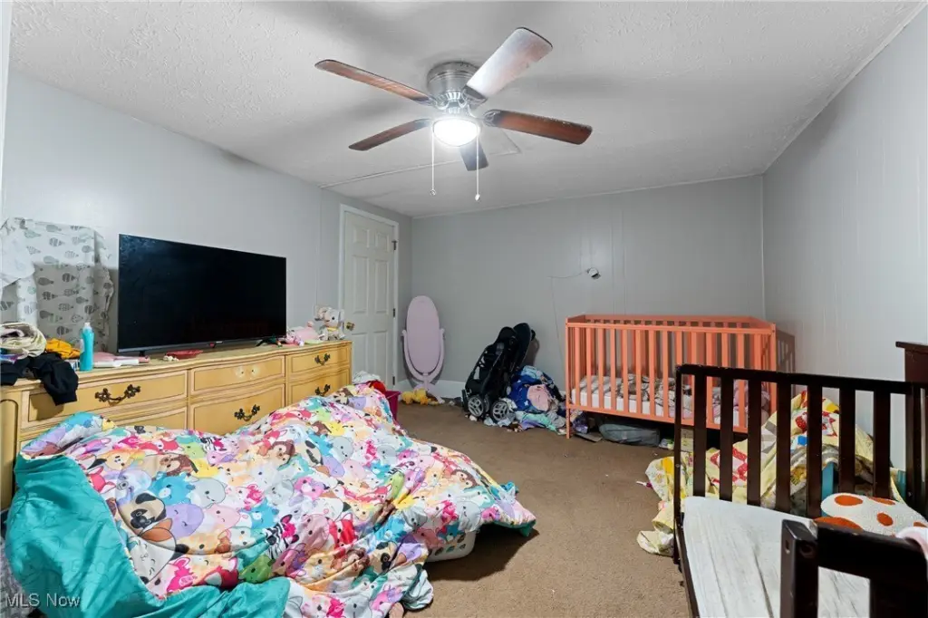 Picture 13