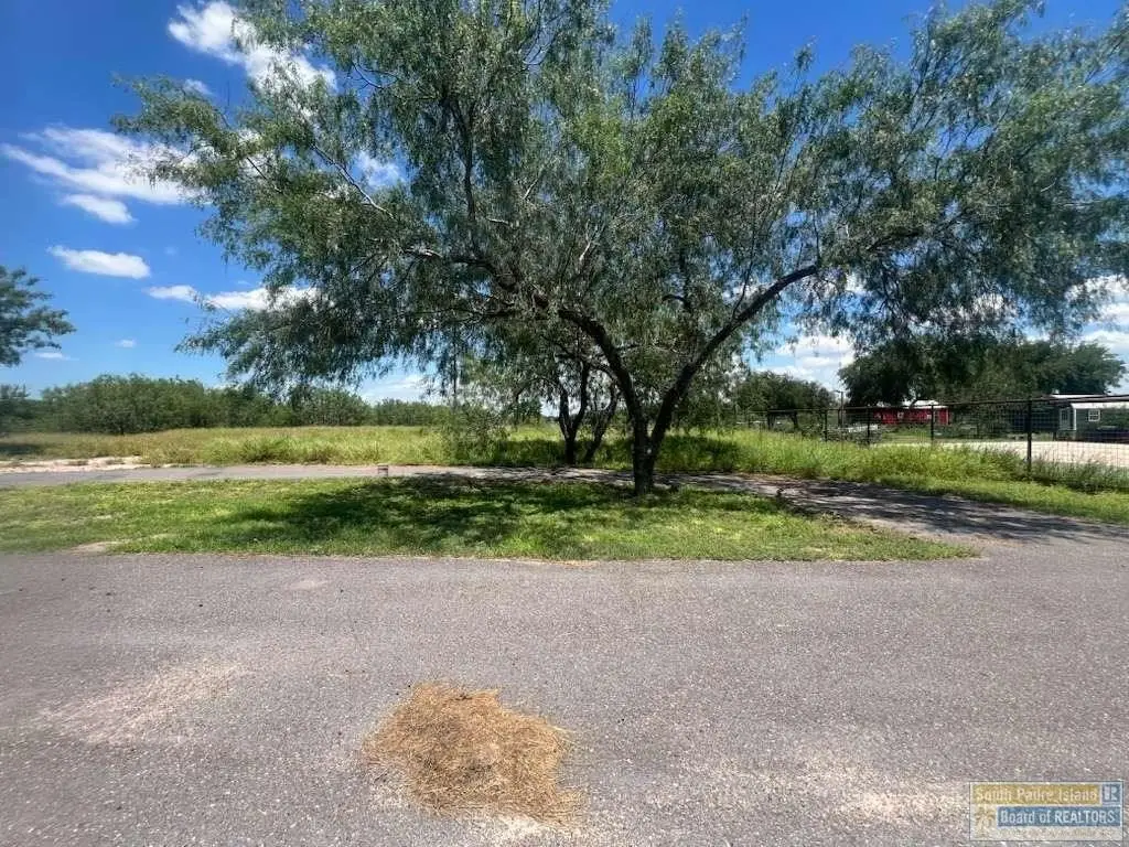 Picture 27