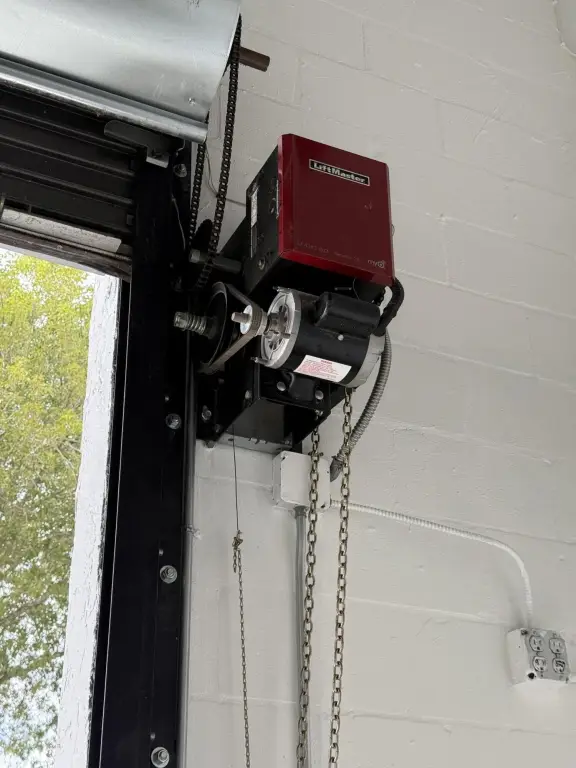Picture 5
