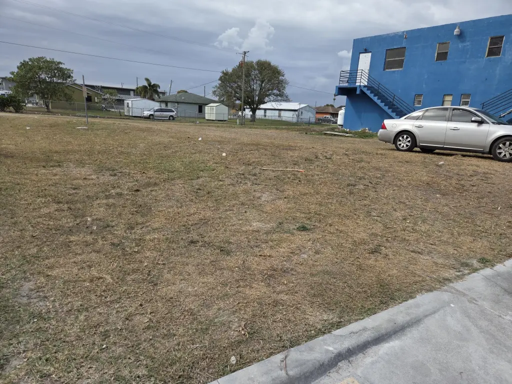 Picture 6